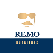 remo.png