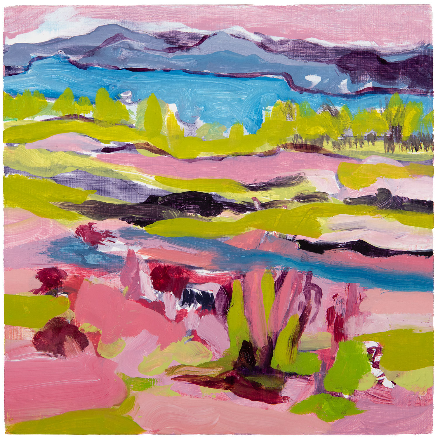 Blueberry Barrens II