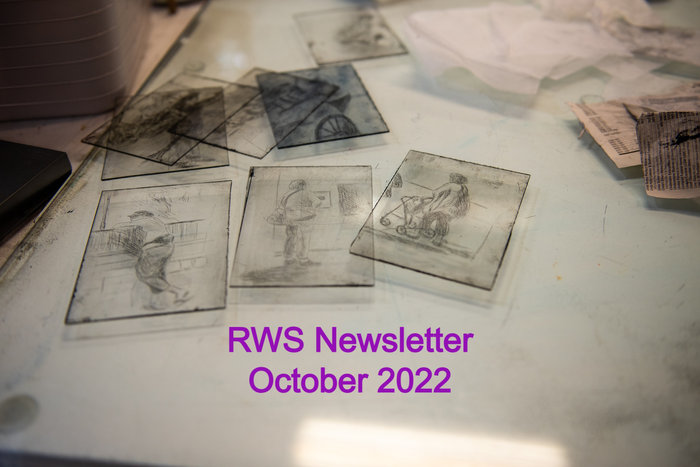 Plexi drypoint plates by Joyce Ellen Weinstein. Photo credit: RWS member Bret Woodard