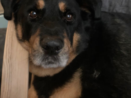 December's newsletter