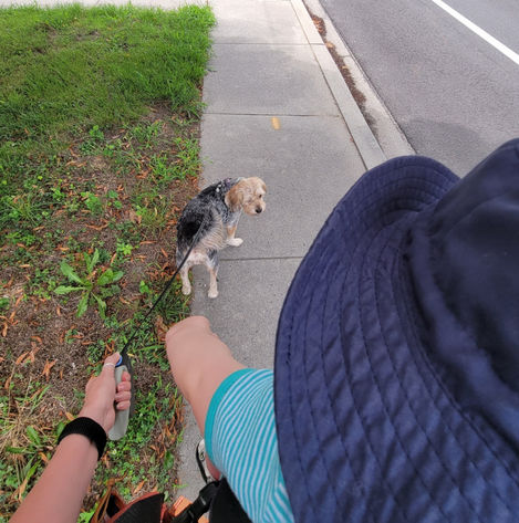 Lola_Boots_Kitty_MSAHS