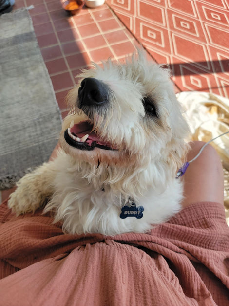 Resized_20220826_161116