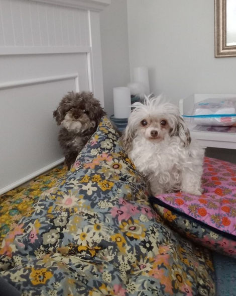 sweetpea_chanel_MSAHS