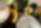 IMG_3147.jpeg