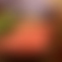 【期間限定】但馬玄のサーロインがお得に