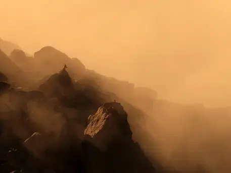 Un photographe Français de 13 ans récompensé pour une de ses photos animalières