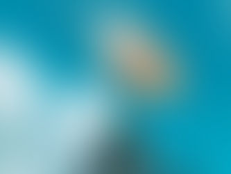 Hoop Dreams : l'expo basket à ne pas manquer à Paris