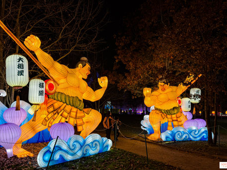 Le Japon en Lumières : le Festival des Lanternes illumine Paris