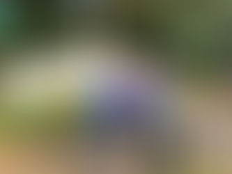 Fall/Winter Planting Complete!