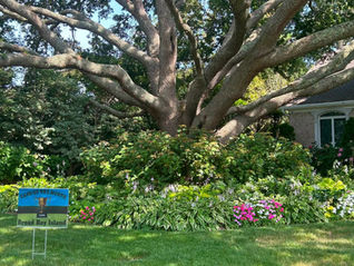 Yard of the Month - July 2026 - Angie & Dan Clarkson