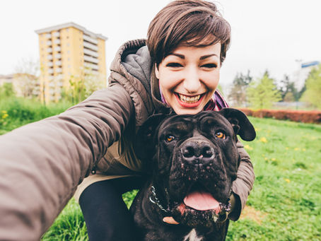 The Importance of Professional Animal Behavior Training Services