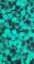Thumbnail: Plan B (Glow in the Dark)