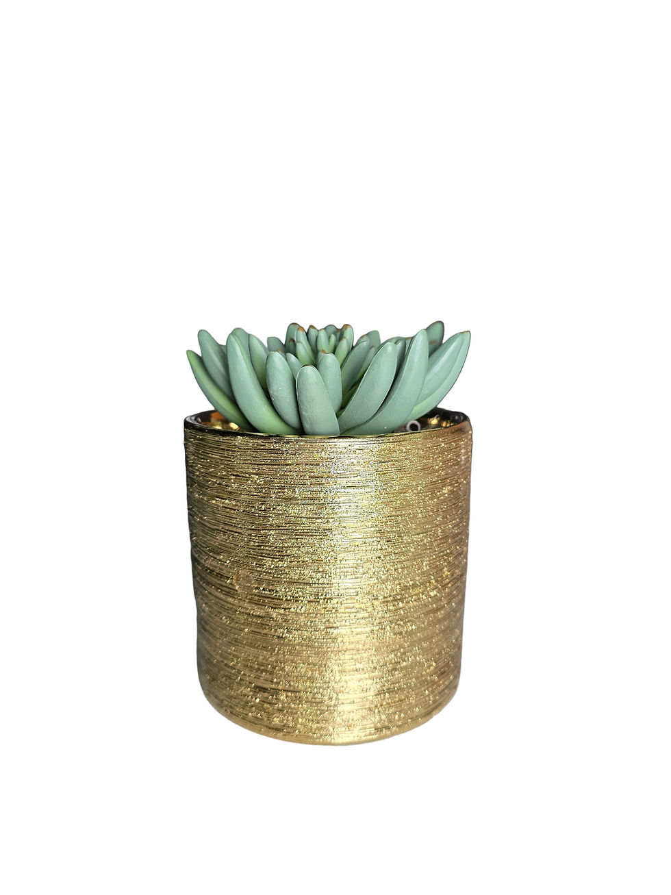 Thumbnail: Textured Gold Round Medium FauxBo™
