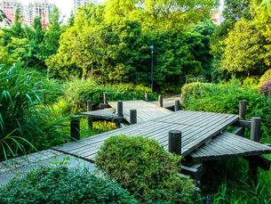 Transform Your Space: Landscaping Made Easy with the 1-2-3 Approach!"