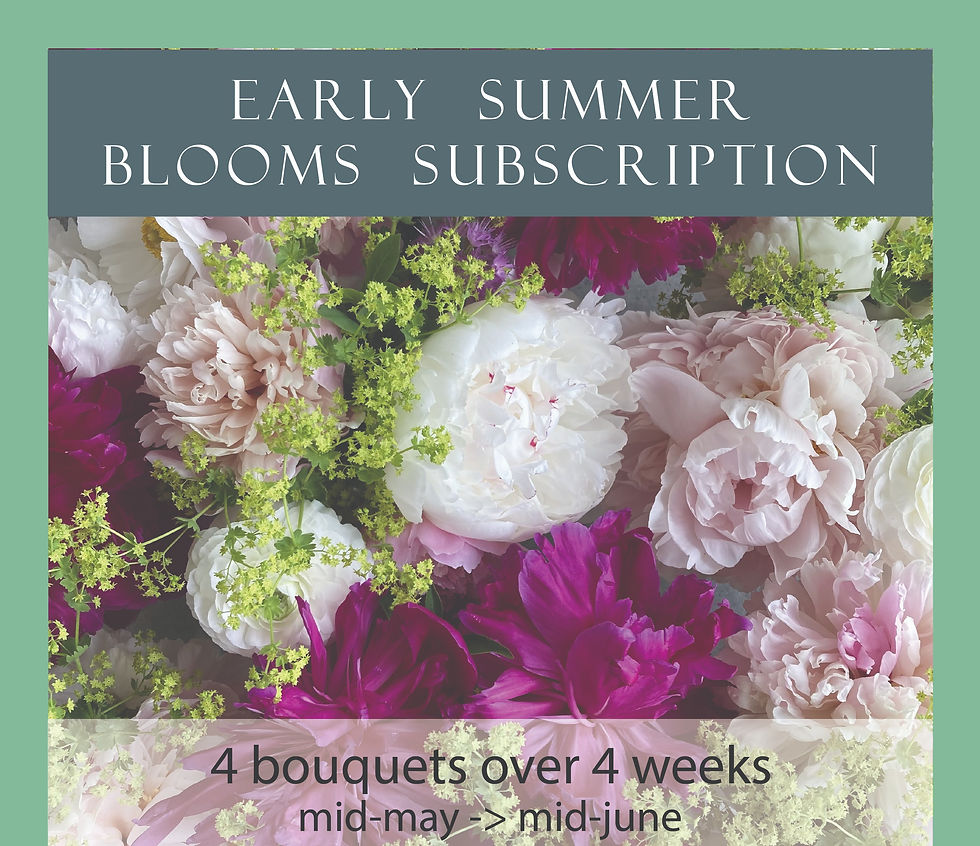 Thumbnail: Full Season of Blooms 24 Weeks