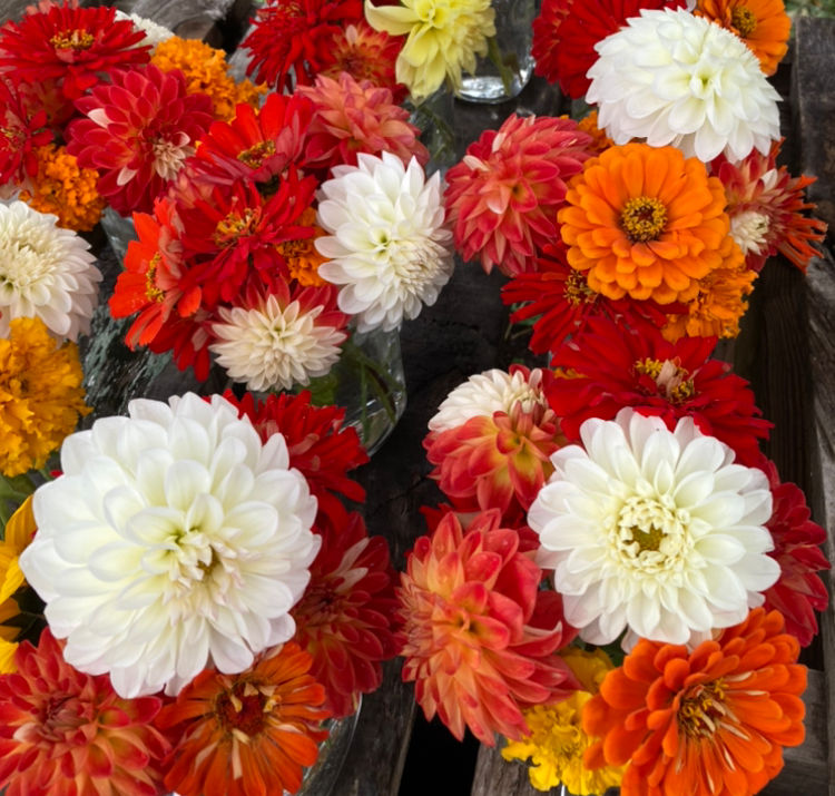 Thumbnail: Late Fall Flower Subscription 4 Weeks