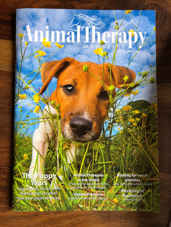Animal Therapy Magazine