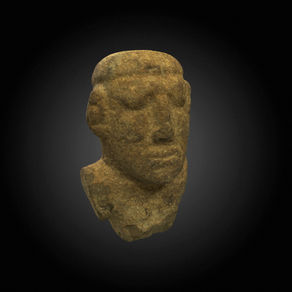 Rostro y torso