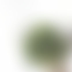 シャビーナチュラル体験レッスンについて