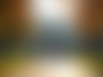 Flinders Social Work Education: A Journey to Excellence