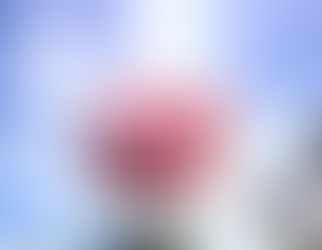 The Sky and the Petal