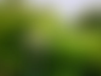 A Lesson from Indiana Jones