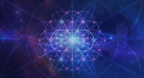 SEEDSofLIFE-1.jpg