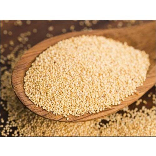 Poppy Seeds (ಗಸಗಸೆ)