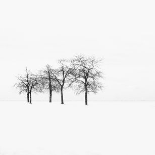 winter.