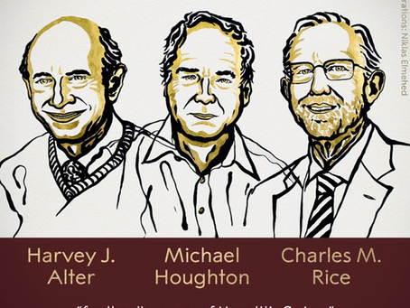 hepatitis C - PREMIO NOBEL DE MEDICINA 2020