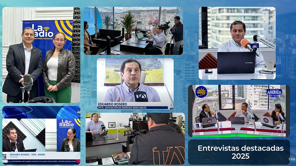 Resumen de Actividades Interinstitucionales AEEREE 2025.