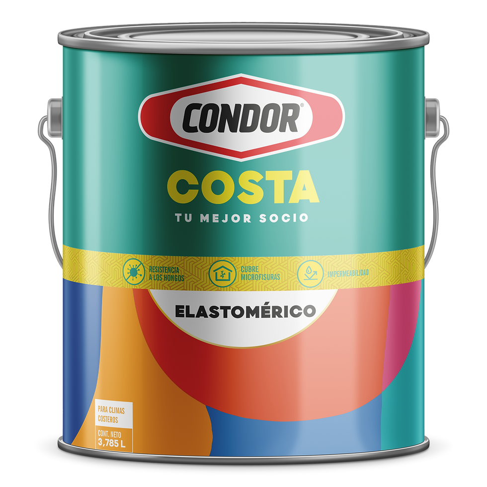 pinturas condor