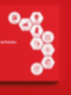 Bustamante Fabara Fusión Revitalización