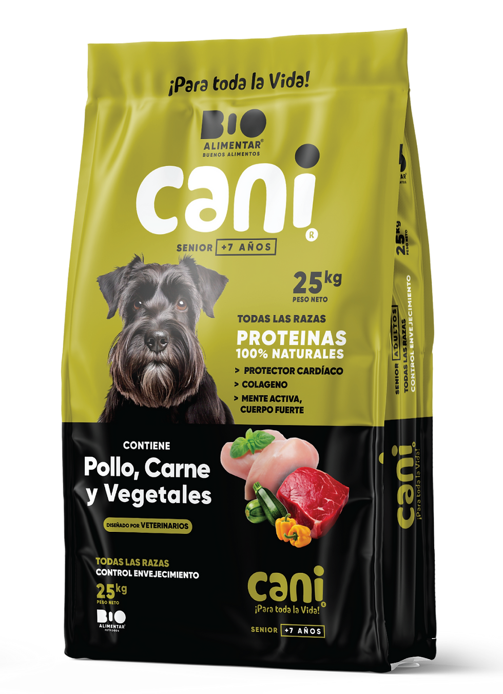 Cani senior