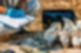 iStock-1145894992 - soil samples.jpg