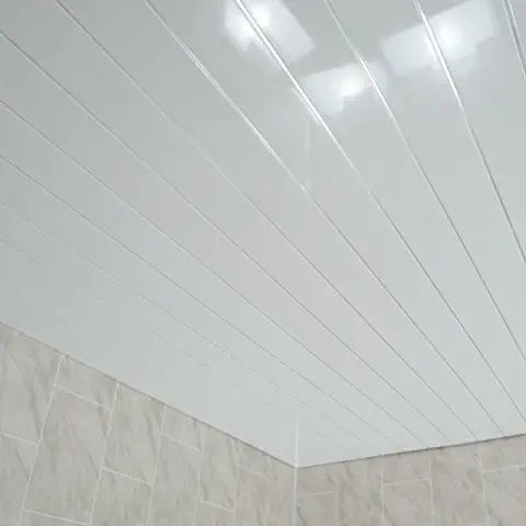 Ceiling Cladding.webp