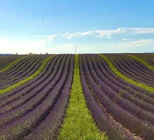 Изображение WhatsApp 2025-01-18 в 16.00.21_18f8f2e6.jpg