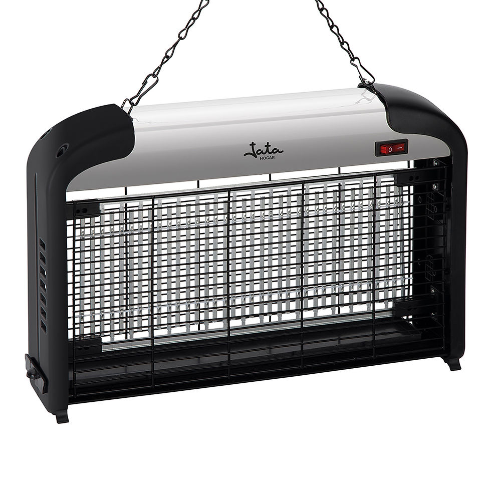 Miniatura: MELI0620