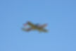 DSC_8980.jpg