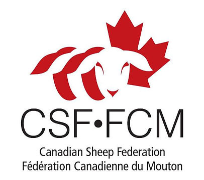 CSF Logo.jpg