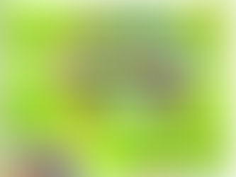 Nacional mundialista