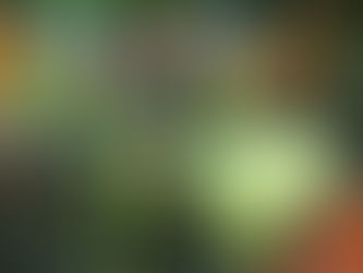 Juego de las estrellas