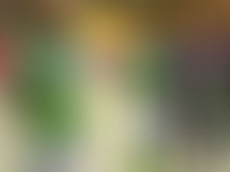 P&Z primer clasificado