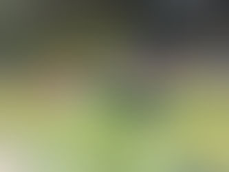 Crónica Faraones vs Buga