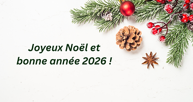 bonne année 2026.png