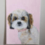 Thumbnail: 9 x 12-inch pet portrait