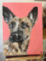 Thumbnail: 9 x 12-inch pet portrait