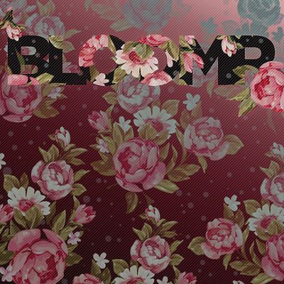 BLOOMR_2.jpg