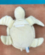Thumbnail: Tilli the Turtle