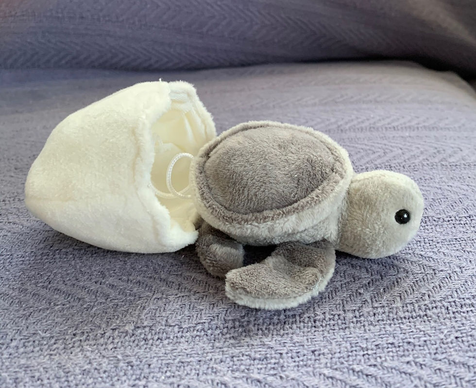 Thumbnail: Happy Hatchlings Turtlets Plushy's